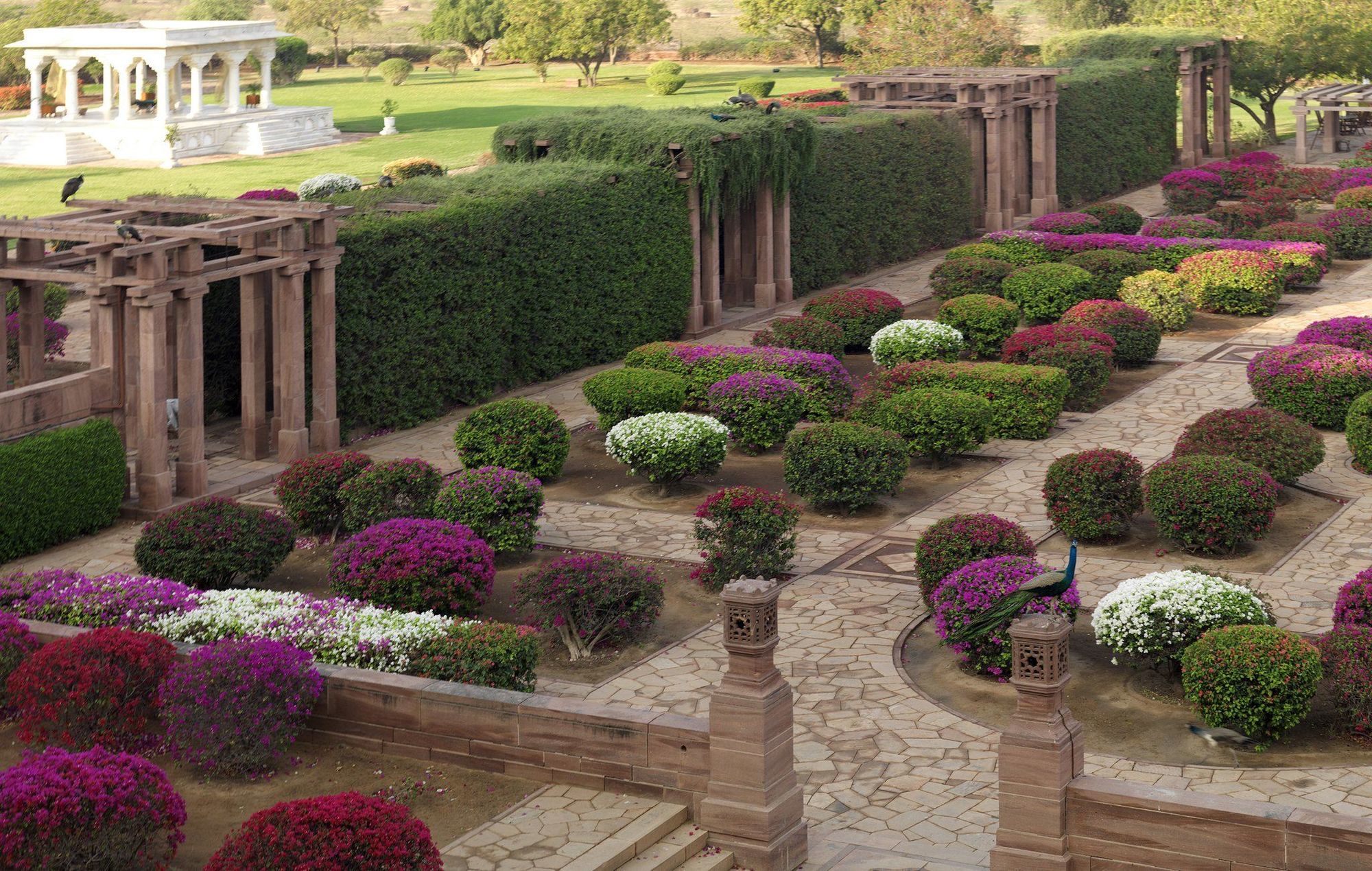 ג'ודפור Umaid Bhawan Palace Jodhpur מתקנים תמונה